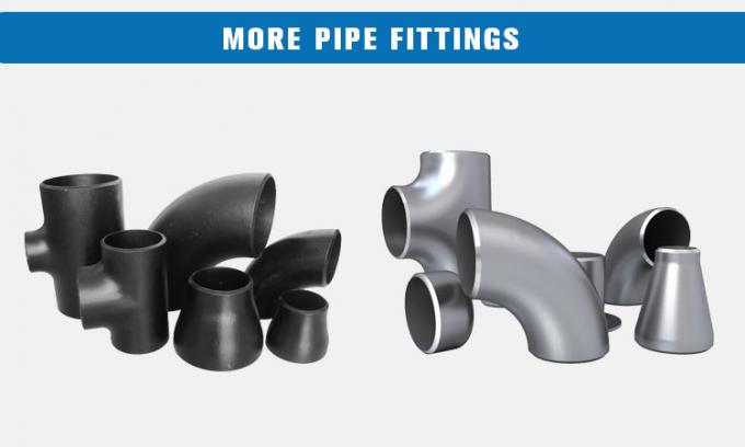 Stuiklas Concentrisch Pijpreductiemiddel met het Zwarte Schilderen 2